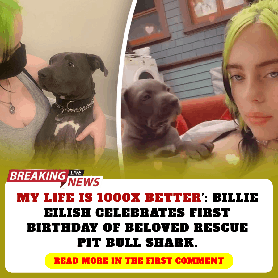 My Life Is X Better Billie Eilish Celebrates First Birthday Of