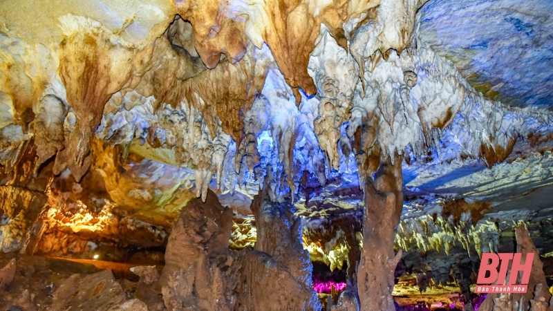 Hang động đá vôi dài 1km ở Thanh Hóa, vào động bật điện lên thấy xanh, đỏ, tím, vàng lung linh, huyền ảo - Ảnh 8.