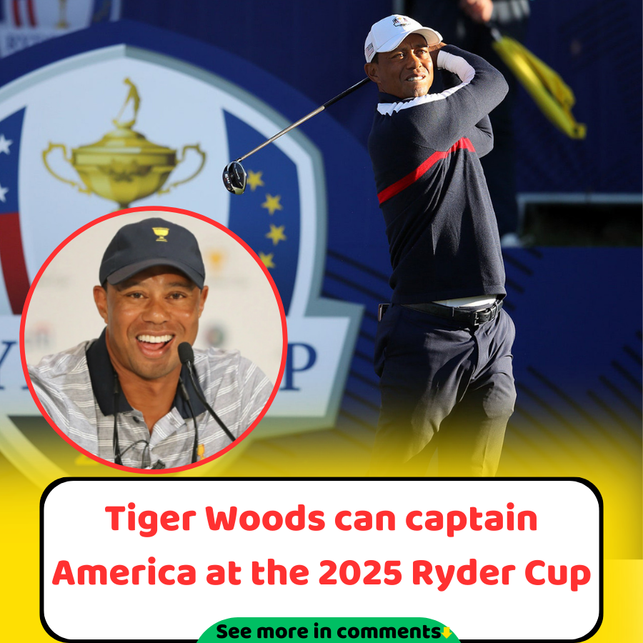 Tiger Woods can captain America at the 2025 Ryder Cup News