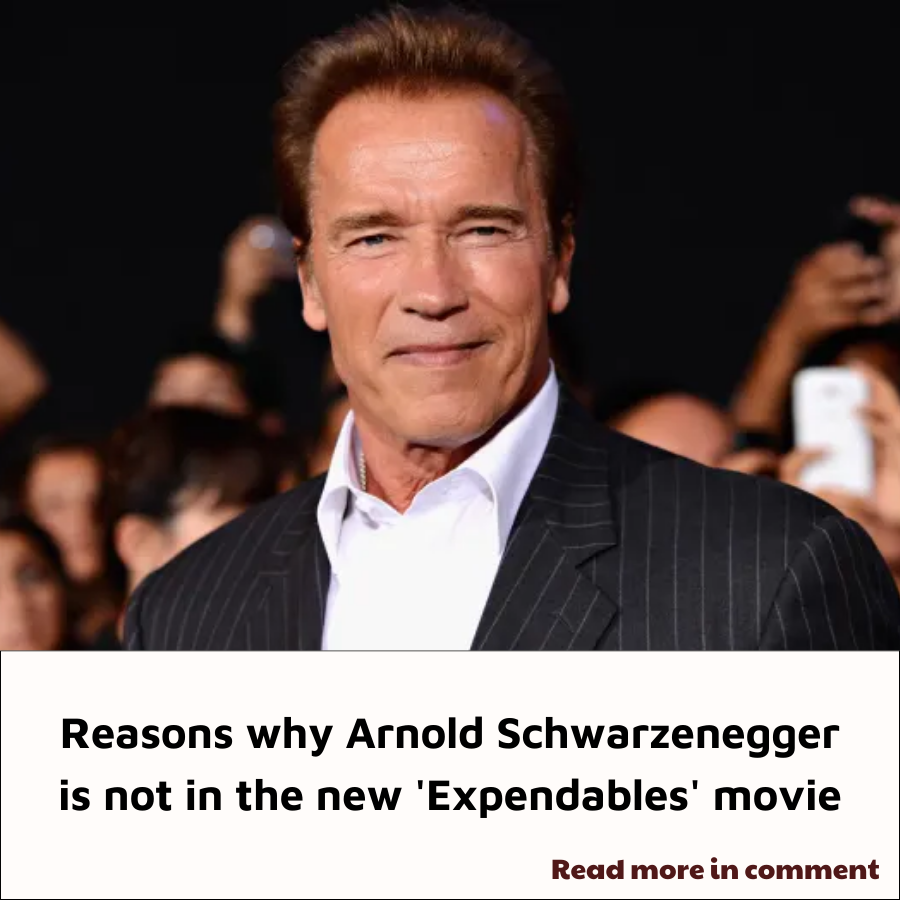 Reasons why Arnold Schwarzenegger is not in the new 'Expendables' movie ...