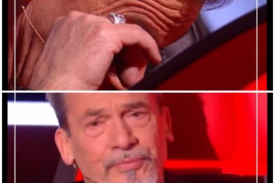 Florent Pagny en larmes et réconforté par Marc Lavoine : des images poignantes dévoilées