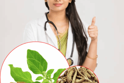 Unlock the Shocking Secrets of Ashwagandha: 7 Mind-Blowing Health Benefits You Never Knew! Discover how this ancient herb can transform your life, boost your energy, reduce stress, and more. Are you ready to uncover the hidden power of Ashwagandha? Click to reveal the astonishing truth now!