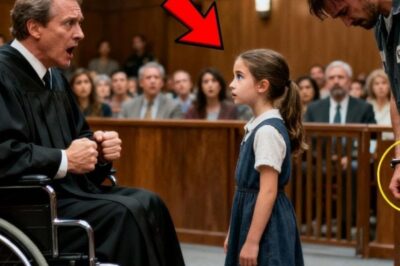 SOLTE MEU PAI E EU TE COLOCO DE PÉ — O tribunal riu… até o impossível acontecer