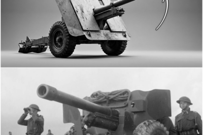 The ‘Oversized’ British Gun That Was The Only Allied Weapon Tiger Crews Truly Feared