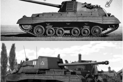 Why This ‘Backward’ British Tank Made German Panzer Crews Question Their Own Eyes