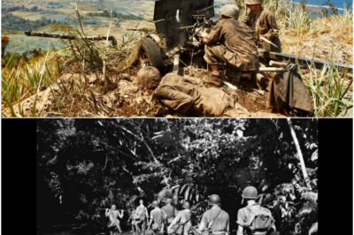 Japanese Soldiers Were Terrified When U.S. Marines Turned Anti-Tank Guns Into Giant Shotguns