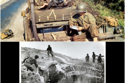 Japanese Soldiers Were Terrified When .50 Caliber Machine Guns Penetrated Their Concrete Bunkers