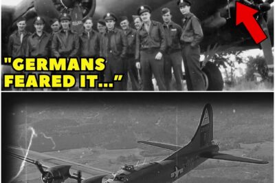 German Pilots Couldn’t Believe the B-17’s 16 Guns — Until the “Flying Fortress” Collapsed D
