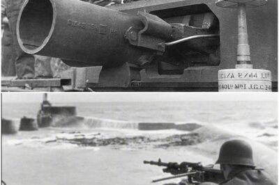Germans Laughed at Britain’s “Dustbin Gun” — Until It Blasted Holes Through Their Fortresses D